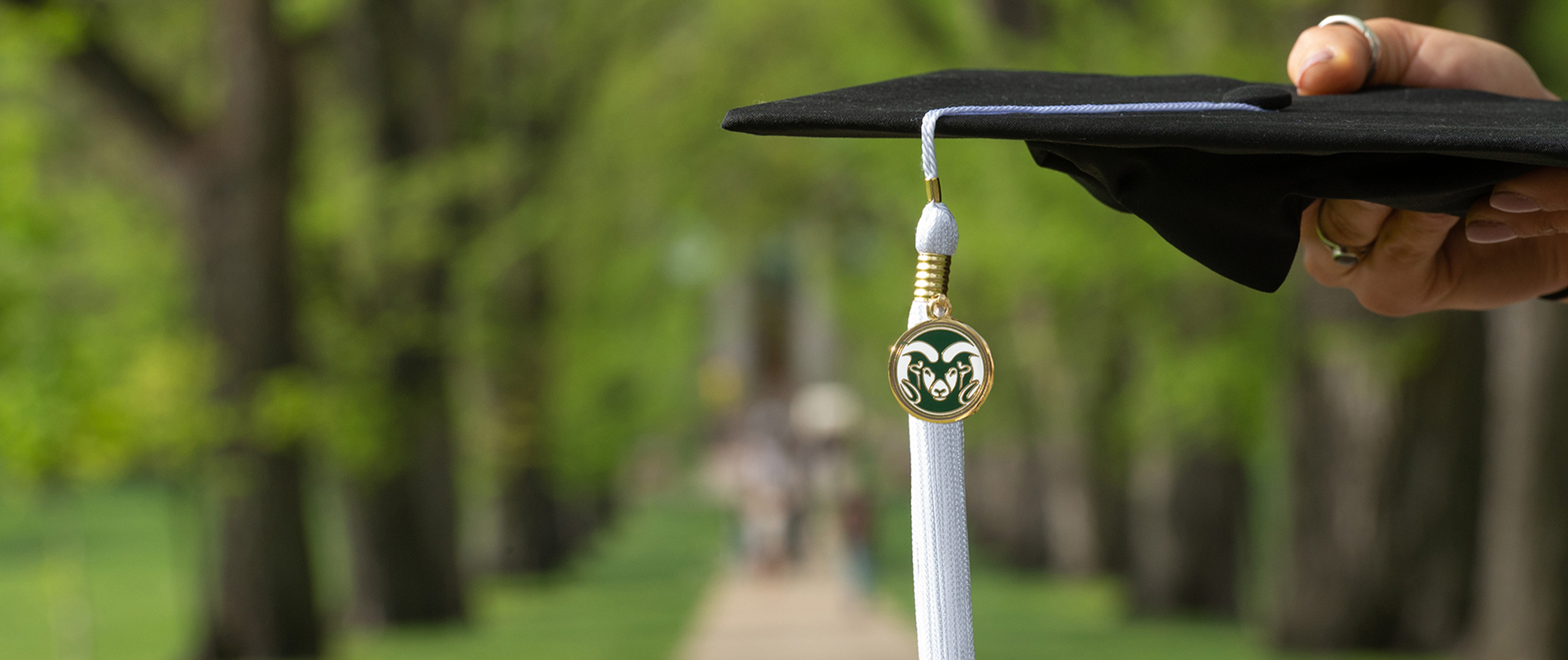 a graduate holds her regalia cap with a CSU logo and tassel on the Oval at Colorado State University